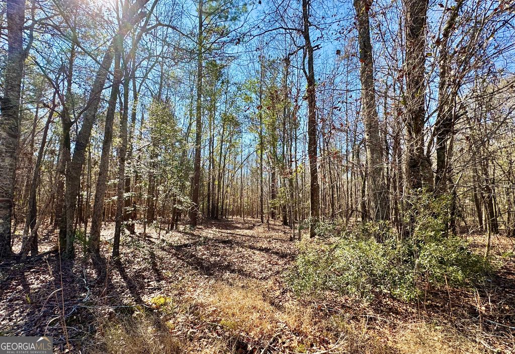 1 Cross Cedar Road, Wrightsville, GA 31096