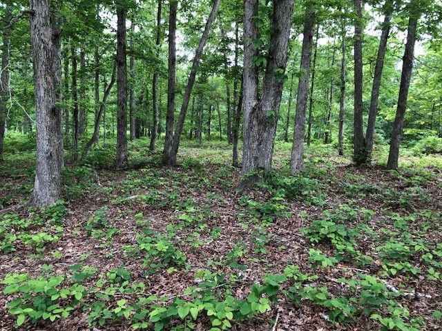 1340 Owl Circ, Hurricane Mills, TN 37078