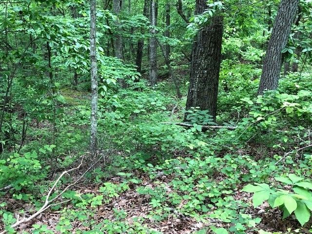 1340 Owl Circ, Hurricane Mills, TN 37078