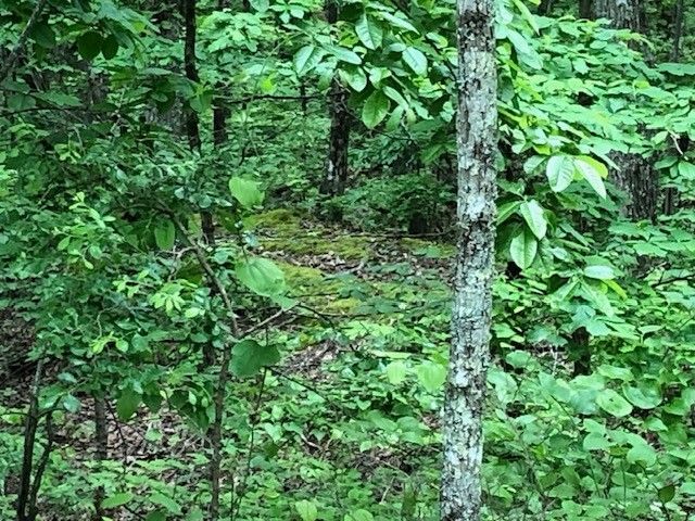 1340 Owl Circ, Hurricane Mills, TN 37078