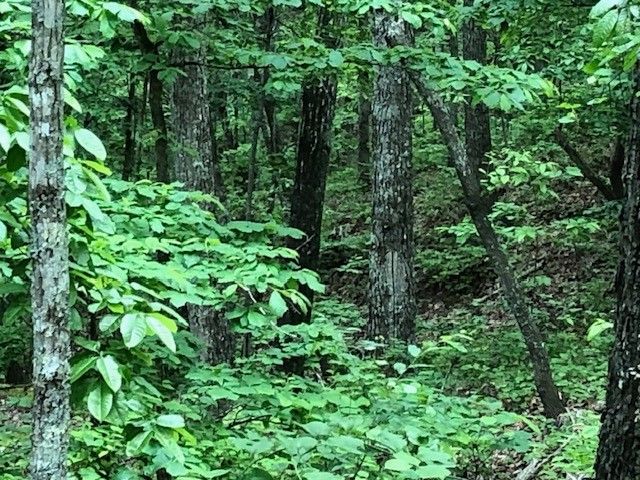 1340 Owl Circ, Hurricane Mills, TN 37078