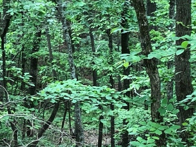 1340 Owl Circ, Hurricane Mills, TN 37078