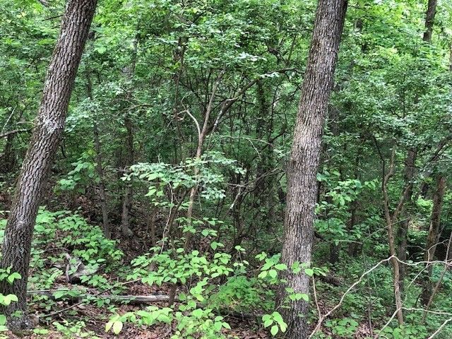 1340 Owl Circ, Hurricane Mills, TN 37078