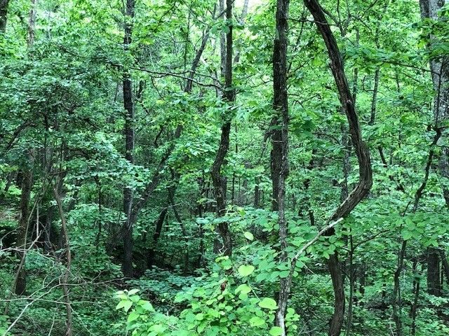 1340 Owl Circ, Hurricane Mills, TN 37078