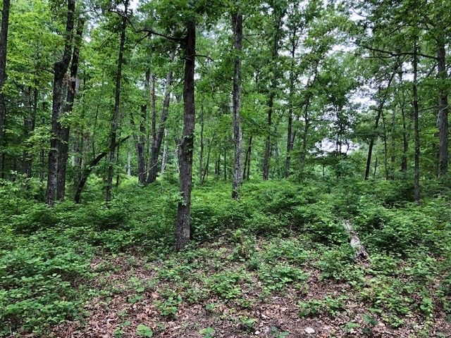 1340 Owl Circ, Hurricane Mills, TN 37078