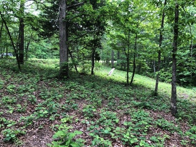 1340 Owl Circ, Hurricane Mills, TN 37078