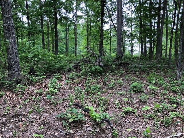 1340 Owl Circ, Hurricane Mills, TN 37078