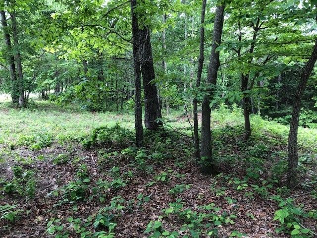 1340 Owl Circ, Hurricane Mills, TN 37078