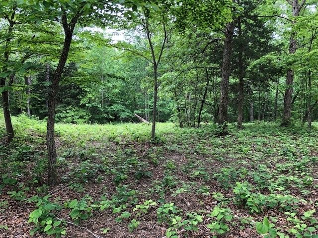 1340 Owl Circ, Hurricane Mills, TN 37078