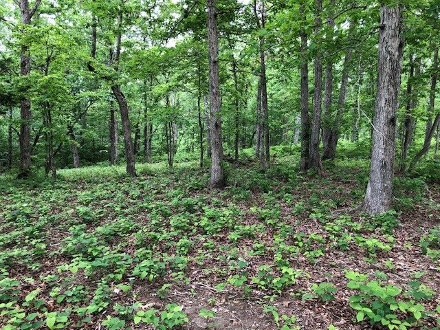 1340 Owl Circ, Hurricane Mills, TN 37078