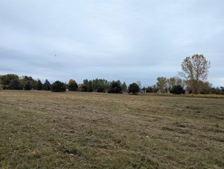 N/A Court Street, Au Gres, MI 48703