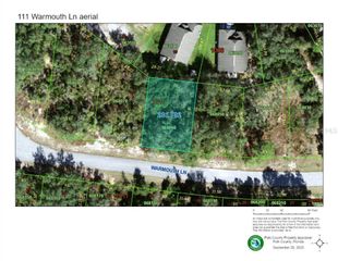 111 WARMOUTH LANE, Kissimmee, FL 34759
