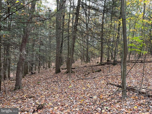 9766 VALLEY VIEW RD, Three Springs, PA 17264