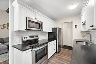 4618 Cedar Lake Road S 6, Saint Louis Park, MN 55416