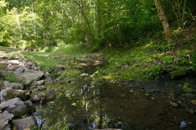 1125 Porter Rd, Burns, TN 37029