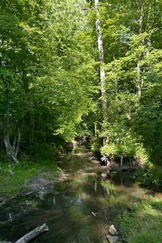 1125 Porter Rd, Burns, TN 37029