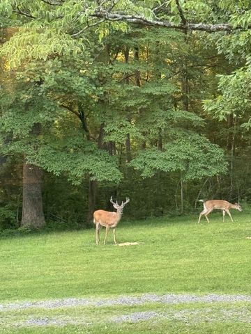 1125 Porter Rd, Burns, TN 37029