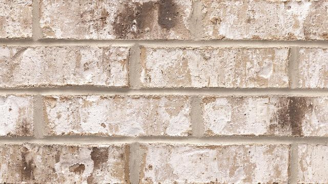 970 Boykin Way, Montgomery, TX 77316