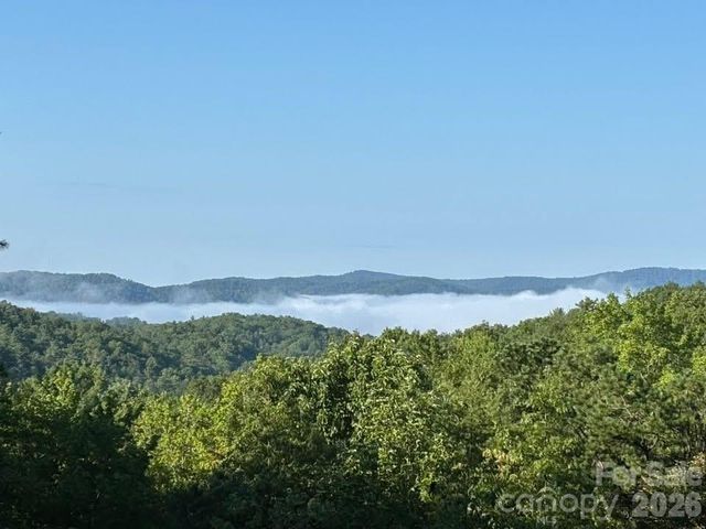 552 Kanasgowa Drive, Brevard, NC 28712