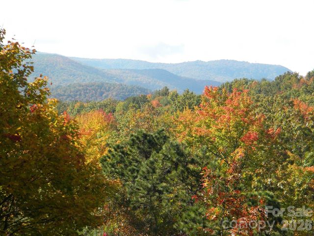 552 Kanasgowa Drive, Brevard, NC 28712