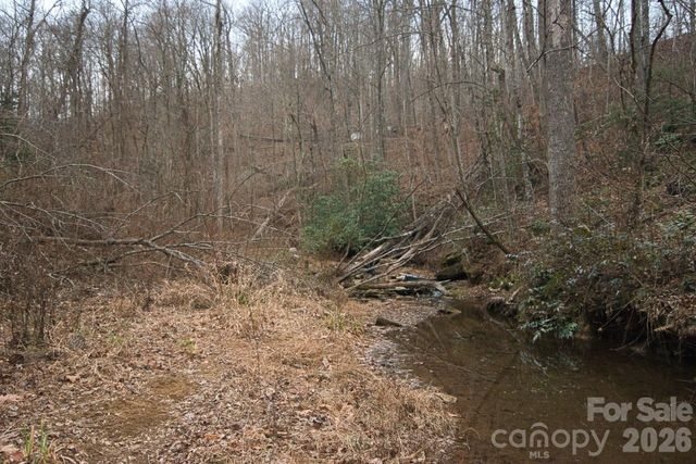 5712 Holbert Cove Road, Saluda, NC 28773