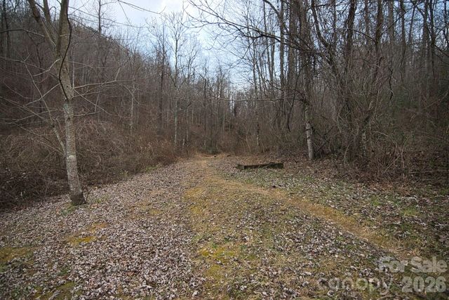 5712 Holbert Cove Road, Saluda, NC 28773