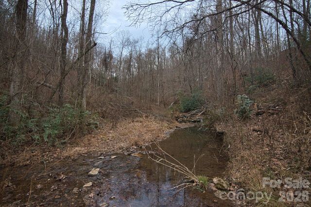 5712 Holbert Cove Road, Saluda, NC 28773