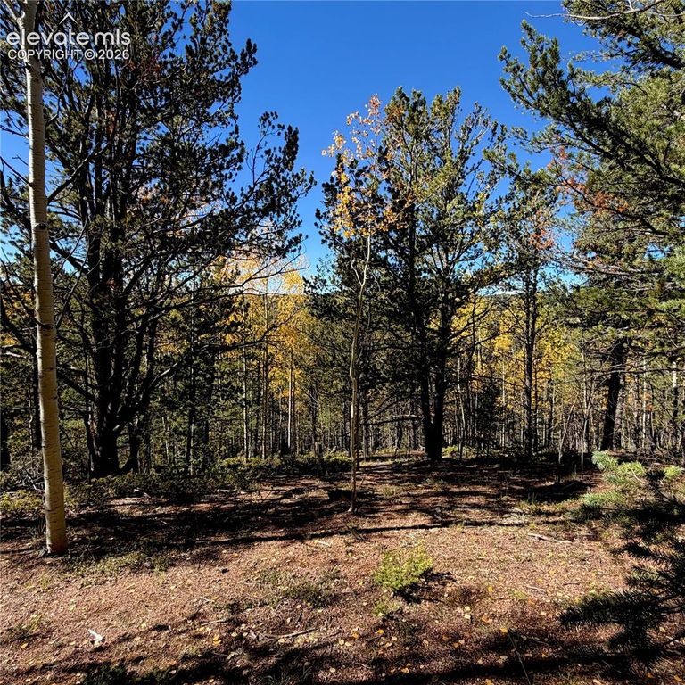 773 Timber Ridge Road, Divide, CO 80814 — exterior
