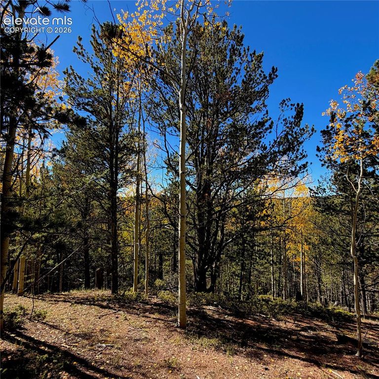 773 Timber Ridge Road, Divide, CO 80814 — photo 2