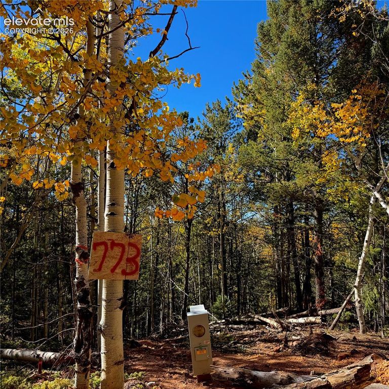 773 Timber Ridge Road, Divide, CO 80814 — photo 3