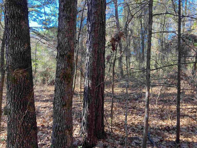 00 Edgemere Loop, Fairfield Bay, AR 72088