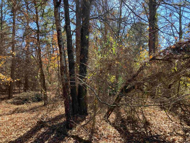 00 Edgemere Loop, Fairfield Bay, AR 72088