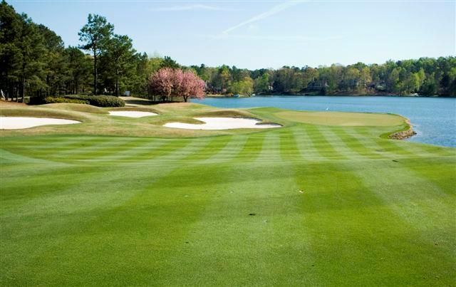 3085 Walnut Creek Drive, Alpharetta, GA 30005
