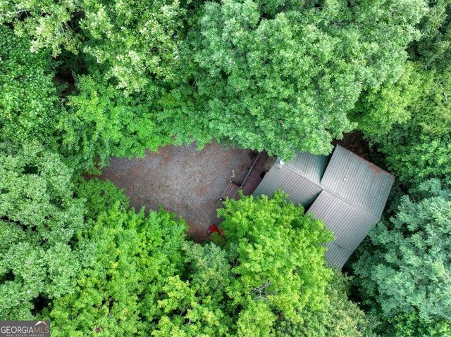 541 Little Bushy Head Road, Blue Ridge, GA 30513
