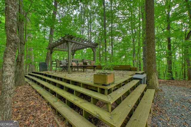 541 Little Bushy Head Road, Blue Ridge, GA 30513