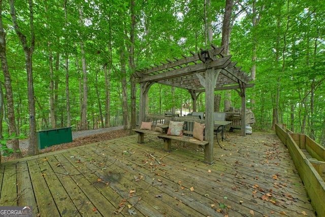 541 Little Bushy Head Road, Blue Ridge, GA 30513