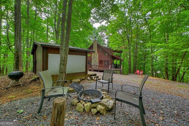 541 Little Bushy Head Road, Blue Ridge, GA 30513