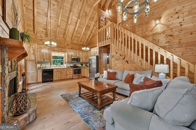 541 Little Bushy Head Road, Blue Ridge, GA 30513