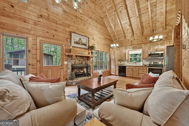 541 Little Bushy Head Road, Blue Ridge, GA 30513