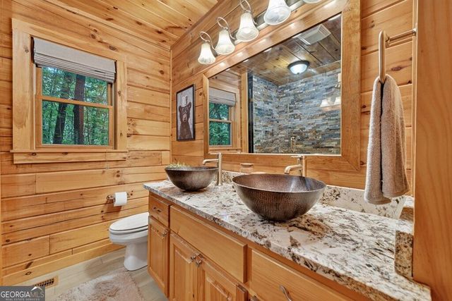 541 Little Bushy Head Road, Blue Ridge, GA 30513