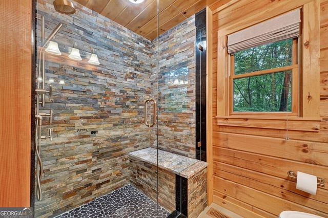 541 Little Bushy Head Road, Blue Ridge, GA 30513