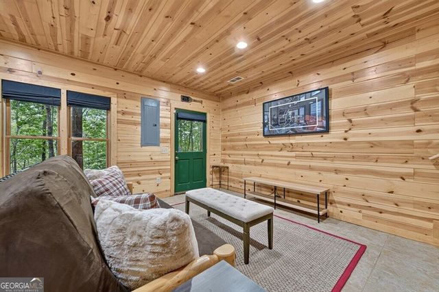 541 Little Bushy Head Road, Blue Ridge, GA 30513