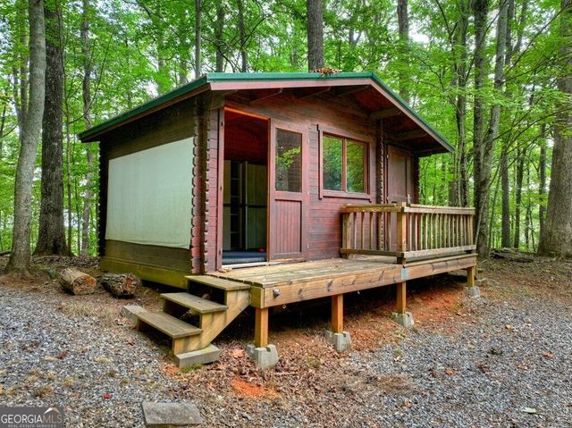 541 Little Bushy Head Road, Blue Ridge, GA 30513