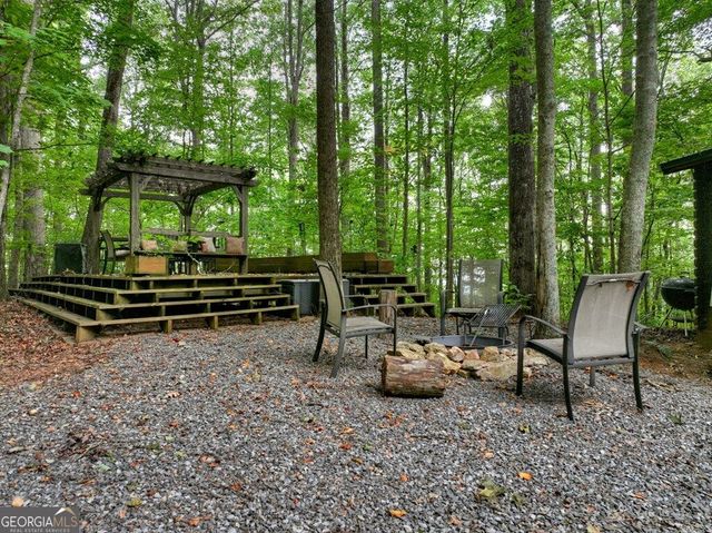 541 Little Bushy Head Road, Blue Ridge, GA 30513