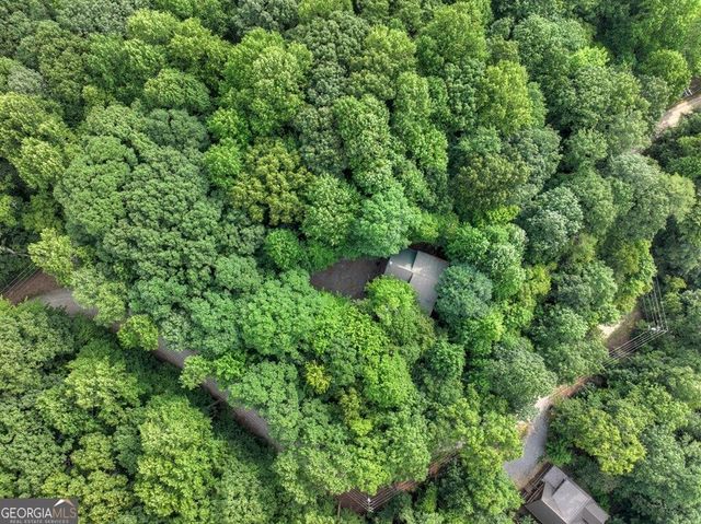 541 Little Bushy Head Road, Blue Ridge, GA 30513