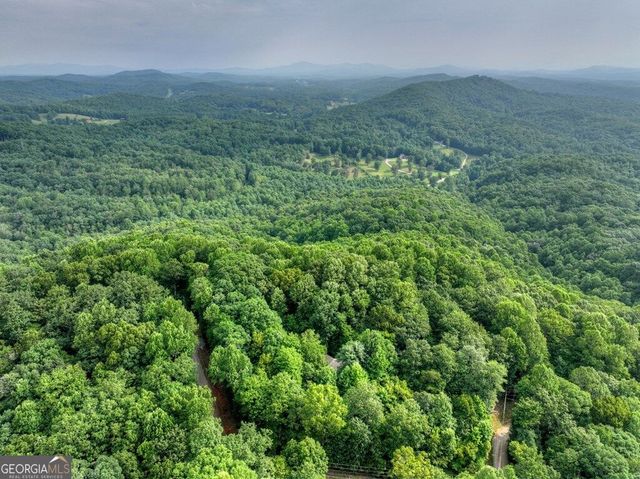 541 Little Bushy Head Road, Blue Ridge, GA 30513