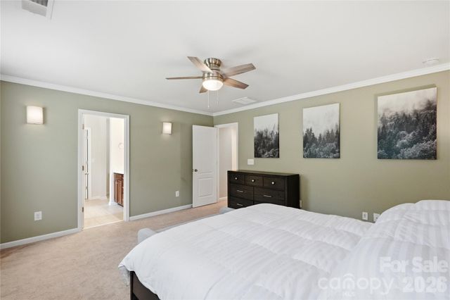10690 Sapphire Trail, Davidson, NC 28036