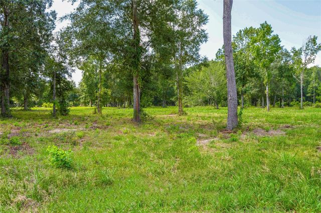 2.24 AC Hwy 321, Cleveland, TX 77327