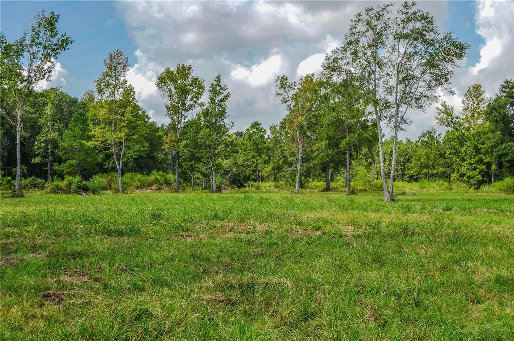 2.24 AC Hwy 321, Cleveland, TX 77327