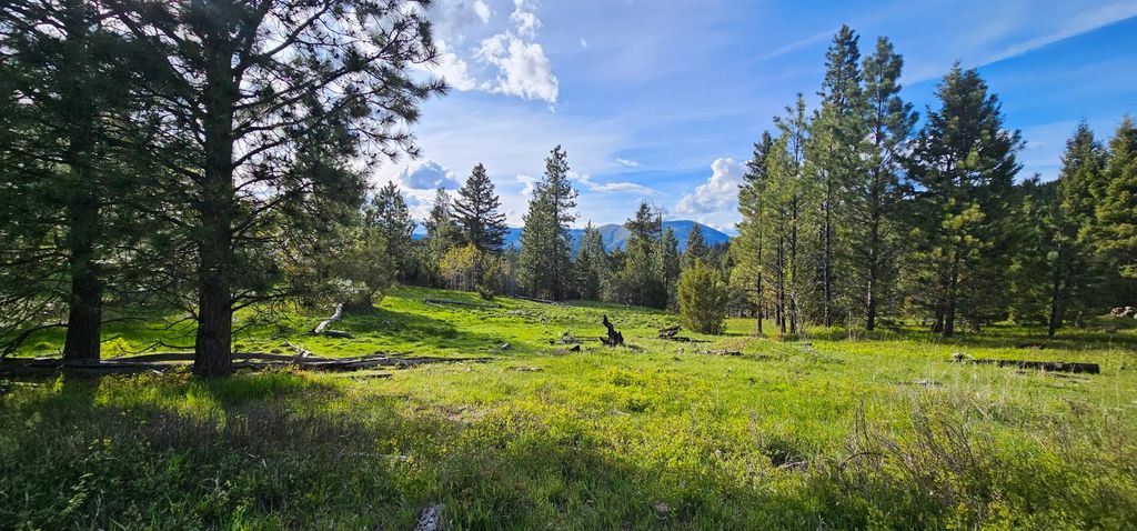 7 Tract, Bull Elk, Drummond, MT 59832 photo 5